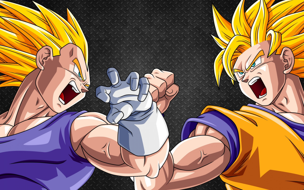 Goku and Vegeta_Haruhichan.com_