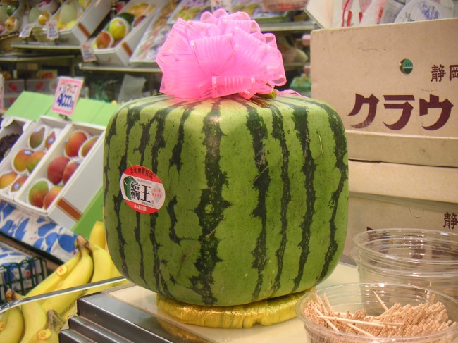  Square Watermelon – 0 each