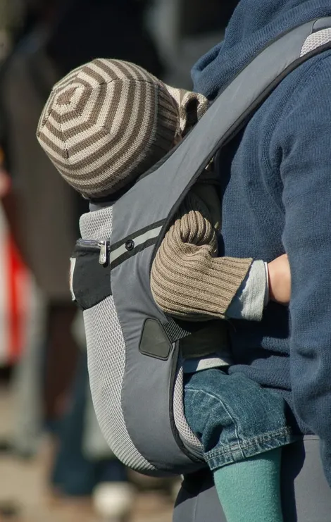 Merchantimage 9599 baby carrier 2077383 1280.webp