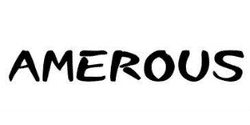 Amerous logo