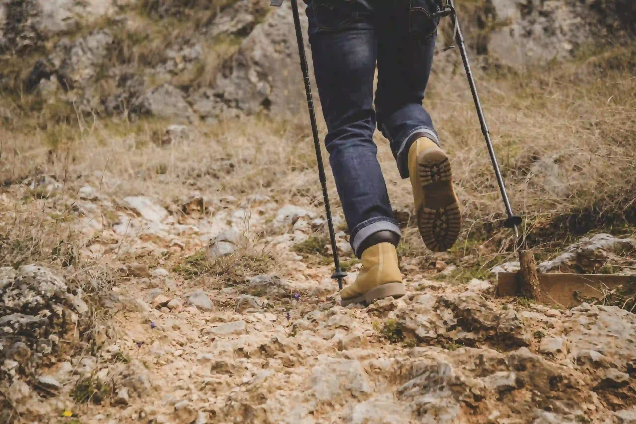 Imgi 20 close up rambler walking scaled