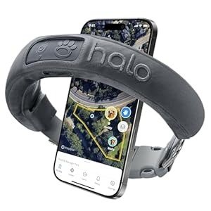 Imgi 11 51wQOGvQIrL. SL300