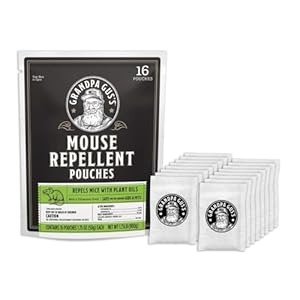 Imgi 7 41tMhrU7OjL. SL300